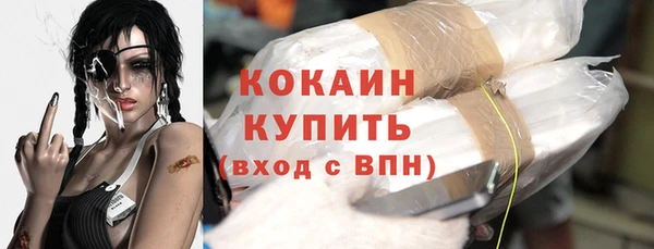сатива Нягань