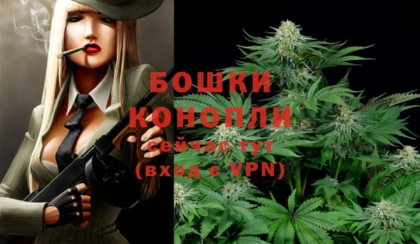 кокс Няндома