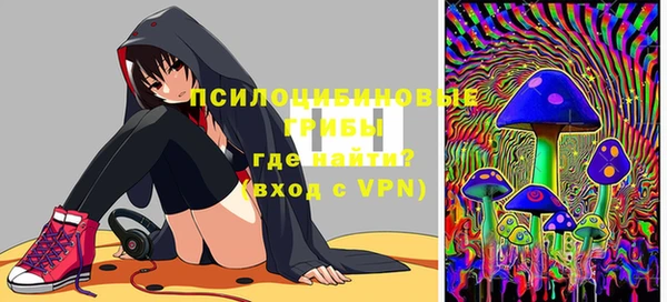 твердый Алзамай