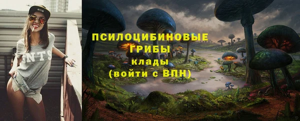 2c-b Алексеевка