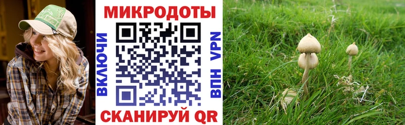 мориарти какой сайт  купить  цена  Кадников  Галлюциногенные грибы MAGIC MUSHROOMS 